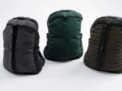 Backpack two backpacks 3D model