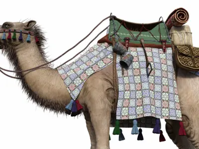 Camel With Package - Rigged 3D model