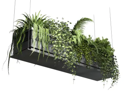 collection Indoor plants hanging pot 10 metal bax vase 3D model