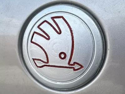 Logo Back Skoda Octavia 2 3D print model