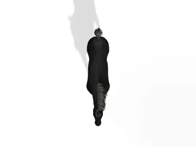 Black Dark Horse Low-poly 3D model