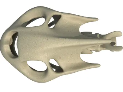 Tortoise  Skull Head 3D model
