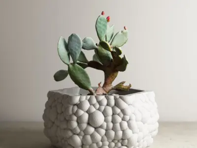 pot collection a13 5 pots