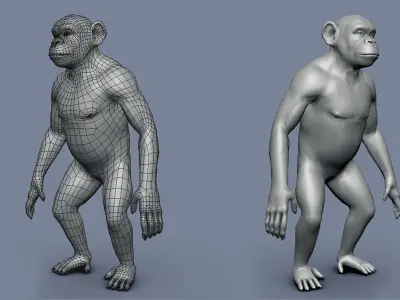 Chimp BaseMesh Low-poly 3D model