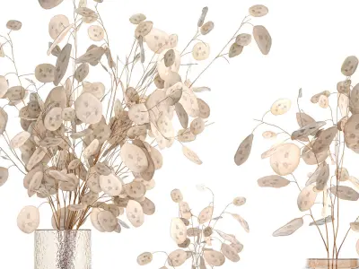 Set of bouquets of dried flowers with Lunaria branches 409 3D model