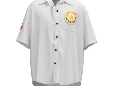 Male oversized shirt 3D model