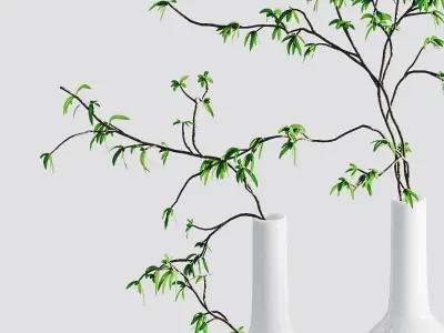 The branches in the vases - 5 models 3D model