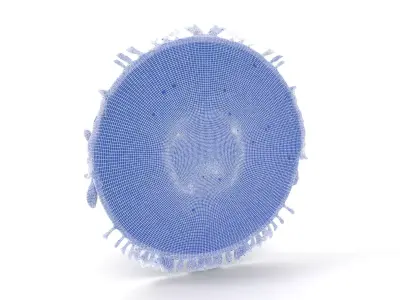 Vibrant Mandala Tapestry model pack Low-poly 3D model