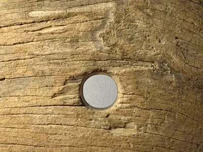 Teak Wheel 2 3D model