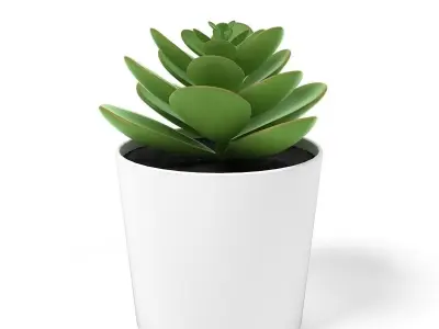 Fejka Houseplants 3D model