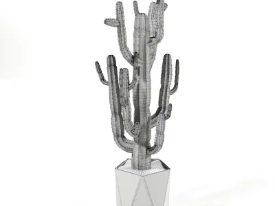 Set plants cactus plant in pot 3D model