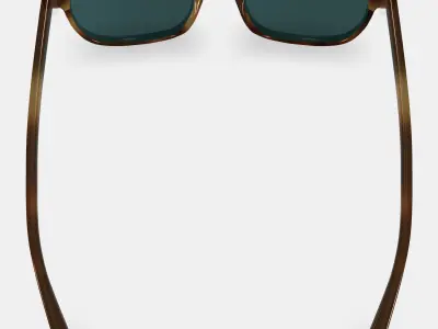 Elio Sunglasses in Black Walnut Low-poly 3D model