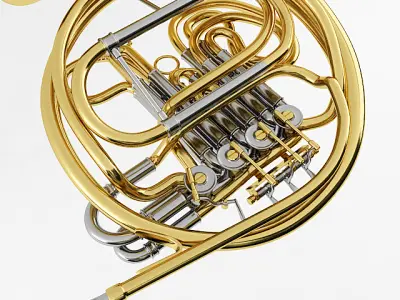 French Horn 3D model