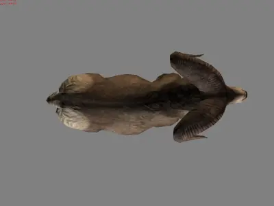 Fighter Goat Animal  Low-poly 3D model