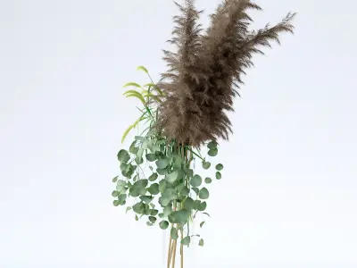 Pennisetum and Pampas grass with Eucalyptus 3D model