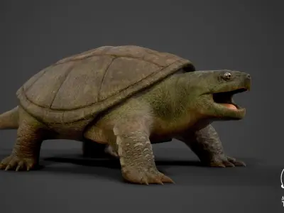 Common Snapping Turtle Low-poly 3D model