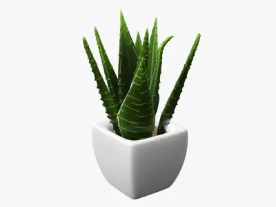 Potted plant decorative 05 3D model