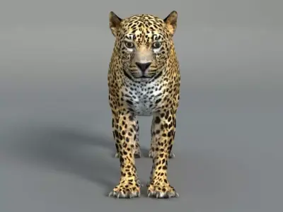 Leopard jaguar 3D model