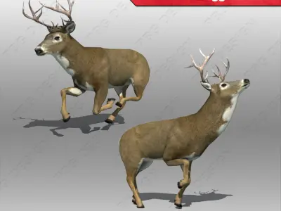 Deer whitetail Low-poly 3D model