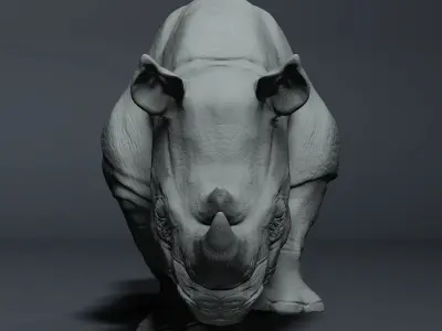 Realistic Rhinoceros High-poly  3D model