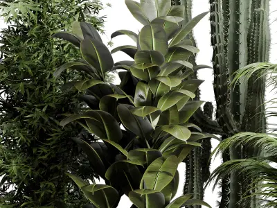 indoor plant ravenala  rubbery palm bamboo cactus concrete dirt  3D model