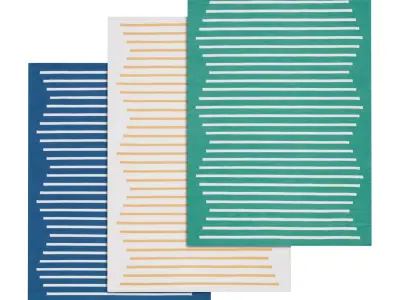 Rug Set 2125 3D model