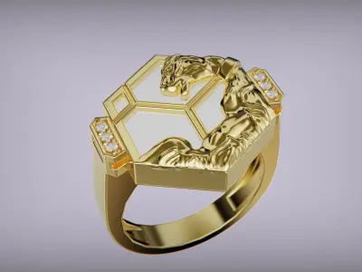 Carrera y carrera Ring - HEXAGON 3D print model