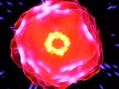 Unreal engine 5 particles flower FX animation Low-poly 3D model