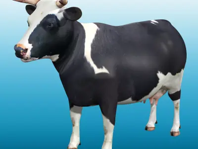 Cow Rig Low-poly 3D model