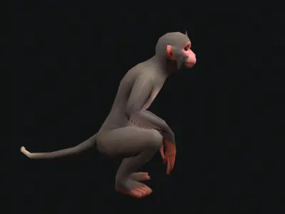 aniamted monkey Low-poly 3D model