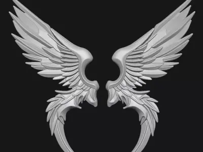 Wings 3D print model