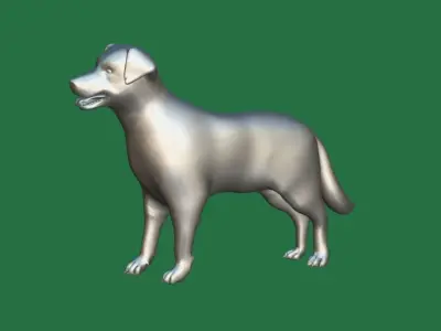 Nova Scotia Duck Tolling Retriever Dog Low-poly 3D model