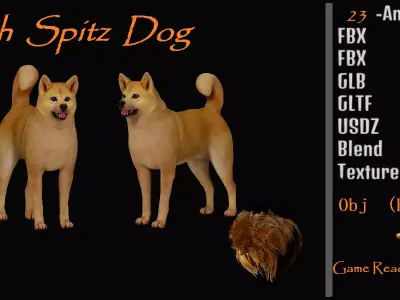 Finnish Spitz Dog Low-poly 3D model