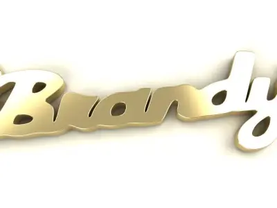 Brandy Name Plate Pendant Gold Silver Platinum Luxury Jewelry 3D print model