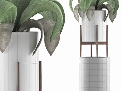 Plants Collection 91 3D model