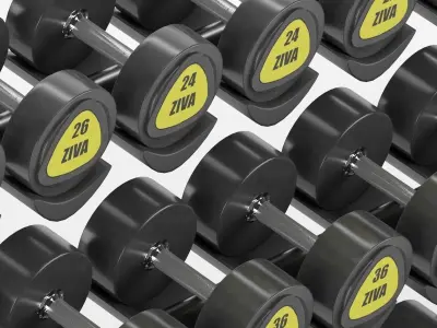 Gym-Tools-Fitness-Body-Building-set-10 gym dumbbell rack with... 3D model