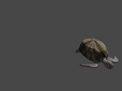 Sea turtle  Low-poly 3D model