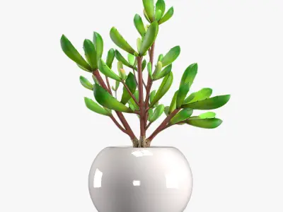 Pot Plant 14 3D model