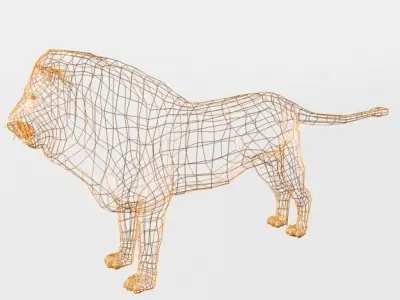 Lion Safari Low-poly 3D model