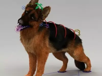 Rigged Dog 3D model