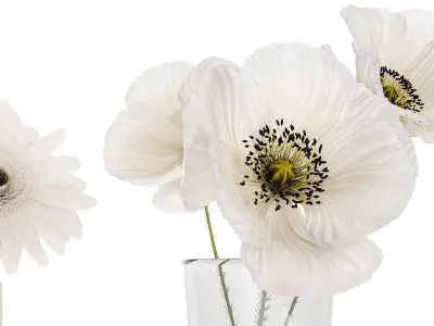 Collection Of Small Bouquets Of White Flowers 475 3D model