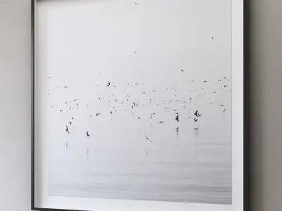 RH NATHAN DEHART UGANDA BIRDS 3D model