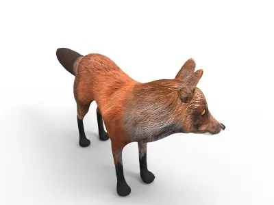 3D Fox rigged Model Low-poly 3D model