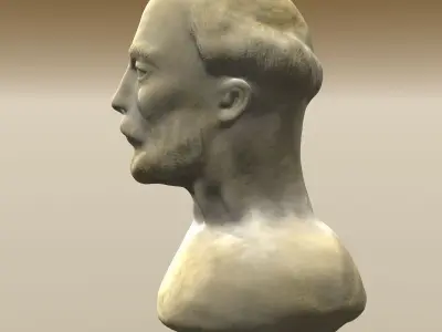 Bearded Man Bust 3D model