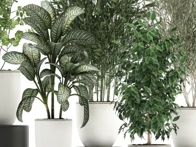 Collection of decorative trees in white flowerpots 819 3D model