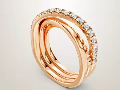 Golden Ring 3D print model