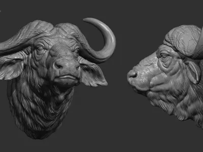 Buffalo shaggy head 3D print model