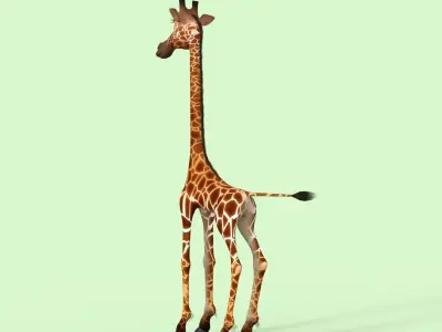Cartoon Giraffe Rigged 3D model