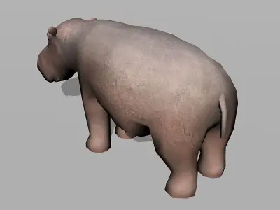 hippopotamus hippo Low-poly 3D model