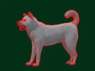 Kishu Inu Japan Dog Breed  3D model